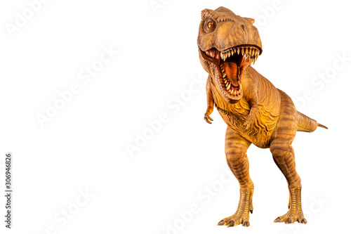 Tyrannosaurus rex ( T-rex ) is walking and open mouth and copy space on left site . Front view . Black isolated background . Dinosaur in jurassic peroid . Embedded clipping paths . © stockdevil