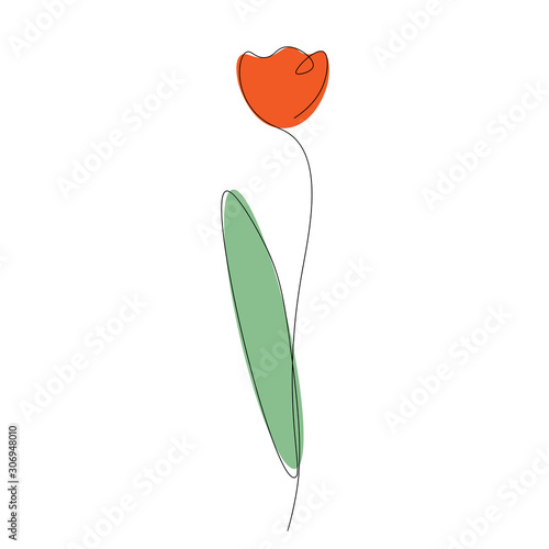 Spring background with tulips flower, vector illustration