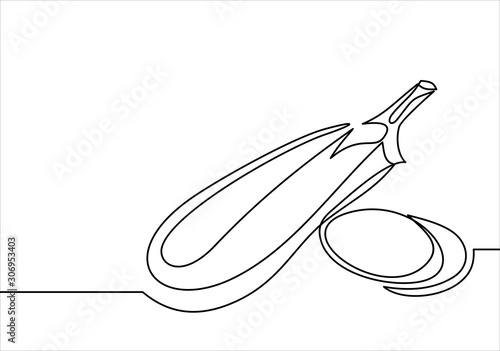 Eggplant line-continuous line drawing