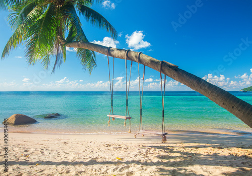 Beautiful tropical island beach with coconut palm trees and two swings, koh Tao, Thailand