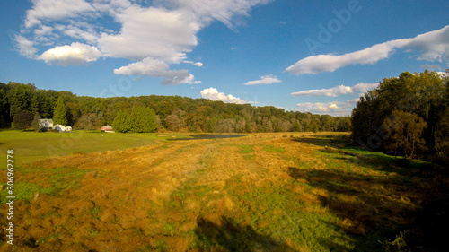 Late Summer Afternoon in a lush Maryland Meadow
