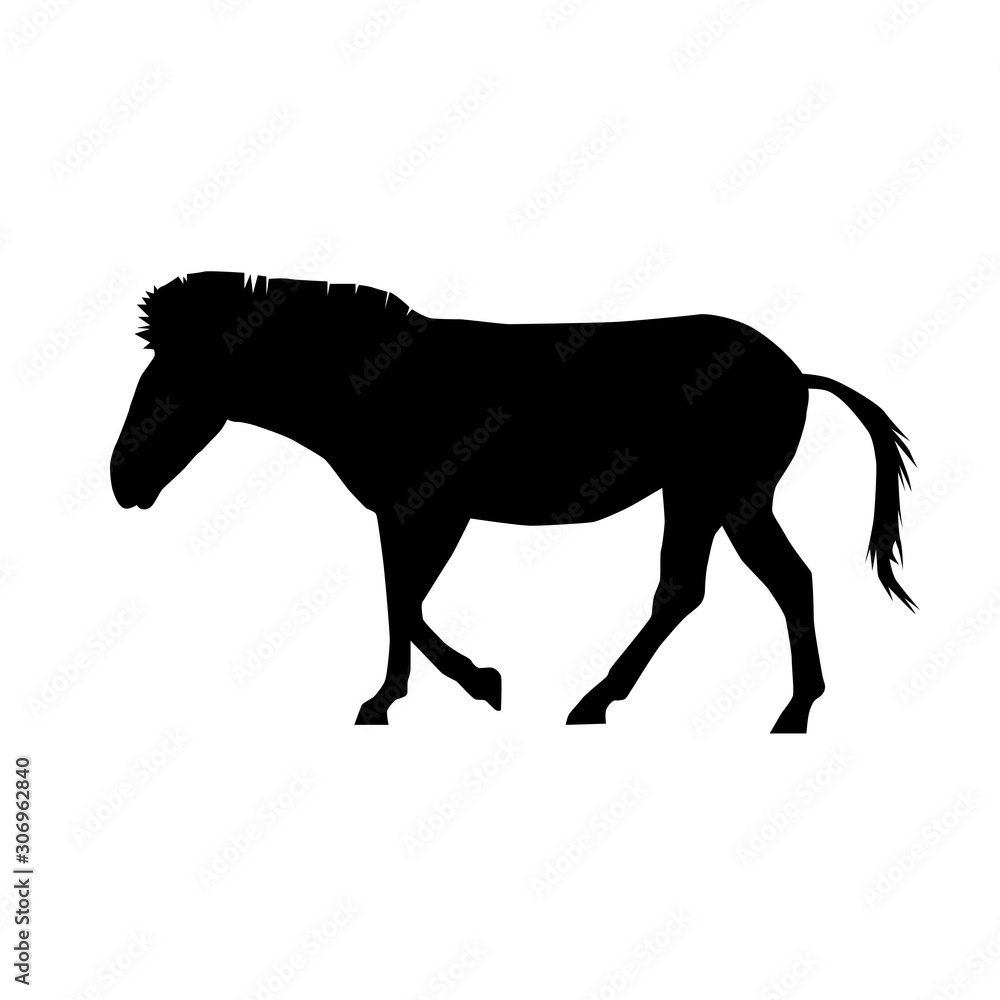 plains zebra (Equus quagga) from side silhouette vector isolated on white background