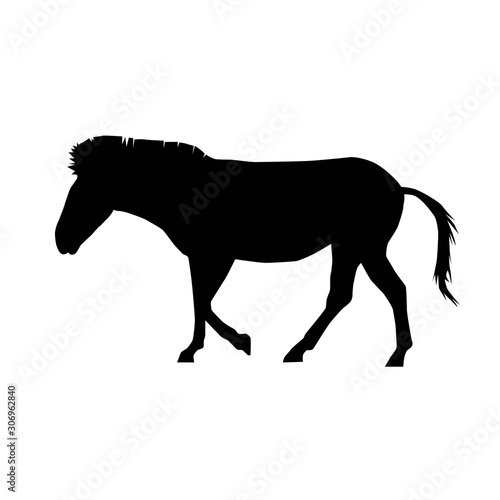 plains zebra (Equus quagga) from side silhouette vector isolated on white background