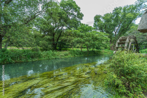 Sai river (犀川) near the Daio Wasabi Farm in Azumino, Nagano Prefecture, Japan photo
