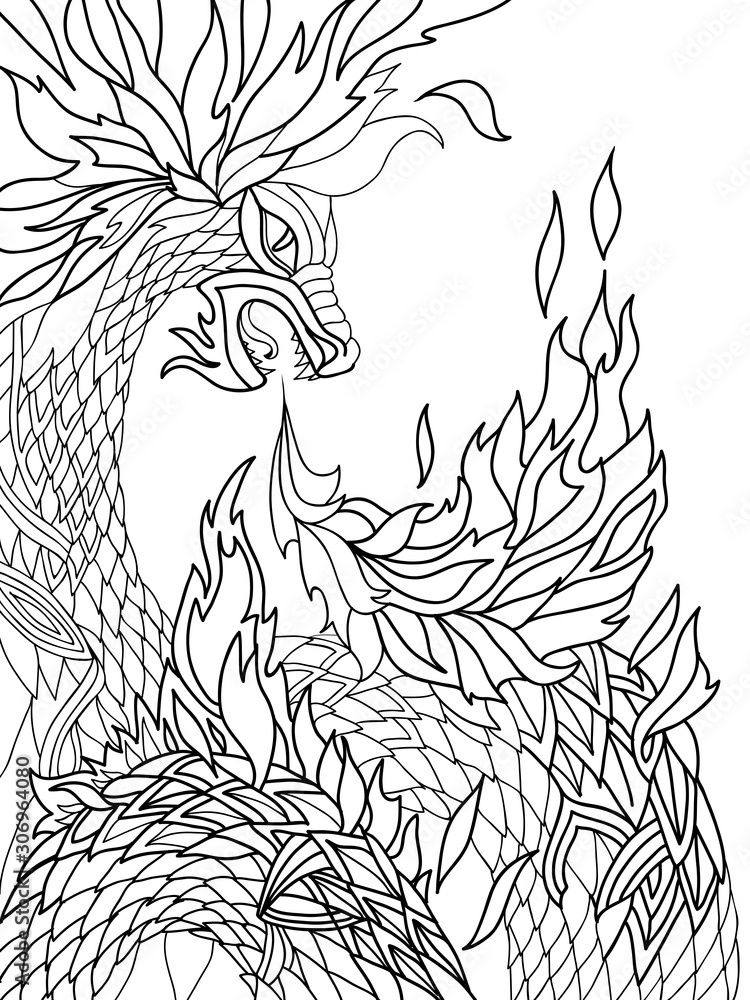 How To Draw  Fire Breathing Dragon Head HD Png Download   584x5582689348  PngFind