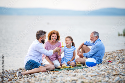 Multigeneration family on a holiday by the lake, having picnic.