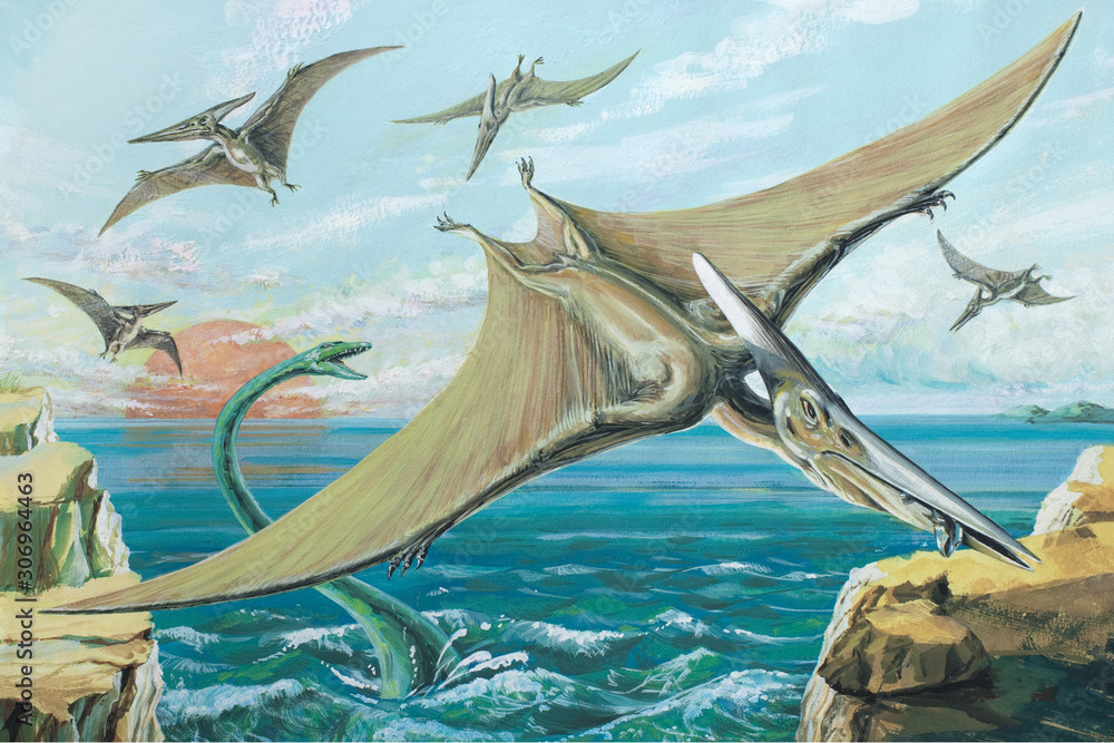 PTERANODON. One of the largest ever flying reptiles, with a wingspan of