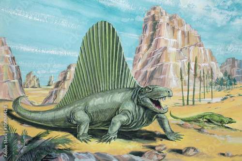 DIMETRODON. A flesh-eating  early mammal-like reptile  not actually a dinosaur . About 11ft  3-5m  long. Background animal  Varanosaurus. Permian  about 250 million years ago. 