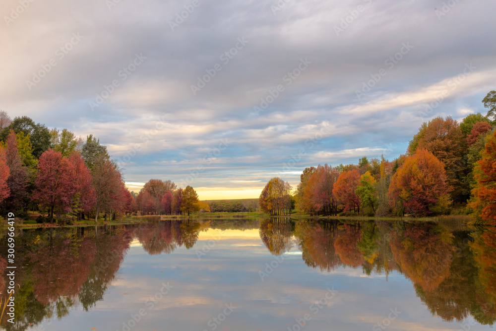Autumn colored trees reflection on water before sunrise
