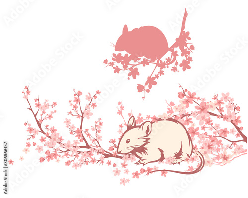 cute mouse among blooming cherry tree branches - chinese rat new year 2020 vector design