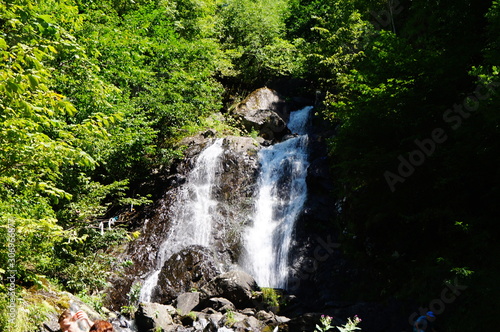 waterfall in the forest
