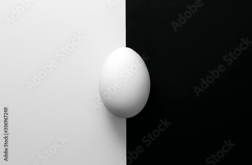 White egg on black and white background. Monochrome photography