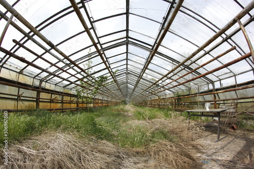 greenhouse with young plants