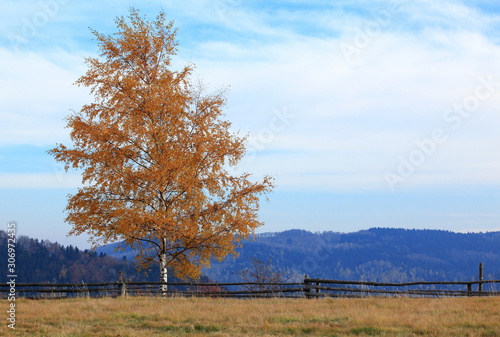 Fototapeta Naklejka Na Ścianę i Meble -  jesienny widok