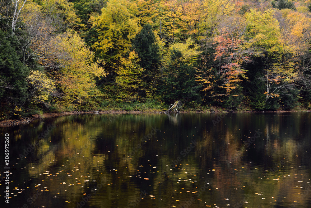 Lake Mansfield private trout pond with Fall color reflections Stowe Vermont Lake Mansfield private trout pond with Fall color reflections Stowe Vermont