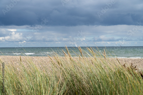 The baltic sea  the beach and marram grass - focused on the sea