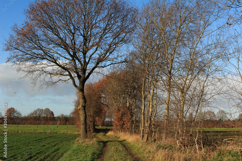 wunderschöner Feldweg in der Herbstsonne wunderschöner Feldweg in der Herbstsonne