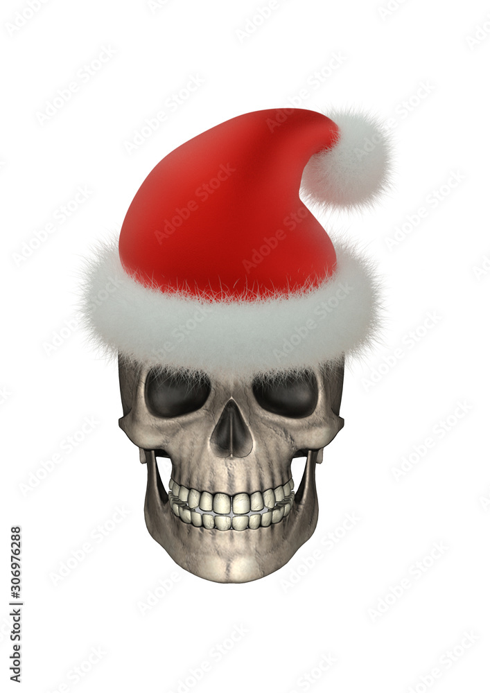 Skull in santa hat Skull in santa hat