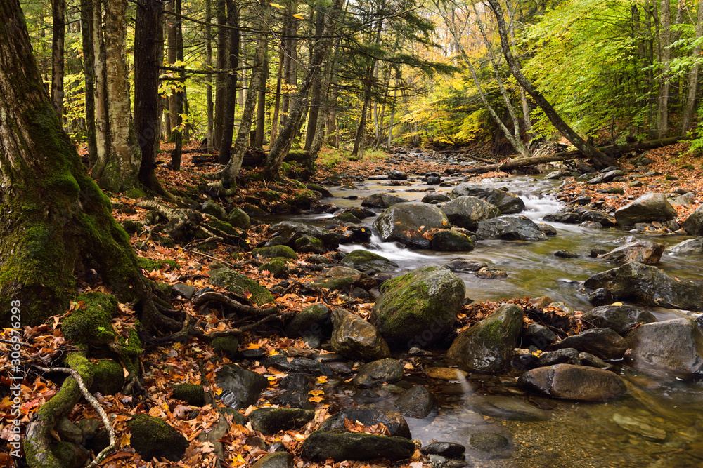 Miller Brook flowing from Lake Mansfield to Waterbury Reservoir at Stowe Vermont in the Fall Miller Brook flowing from Lake Mansfield to Waterbury Reservoir at Stowe Vermont in the Fall