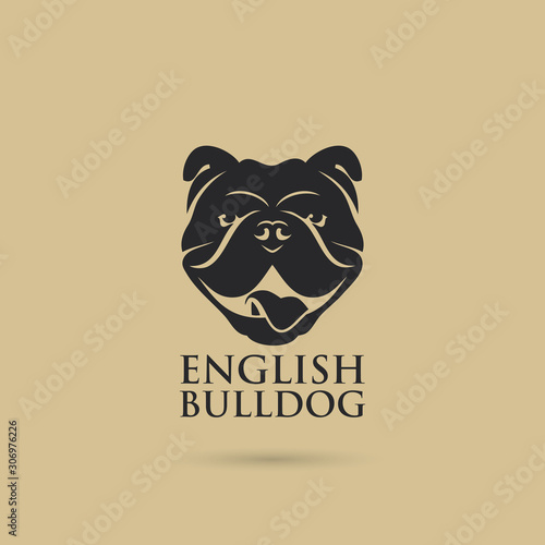 English bulldog - vector illustration