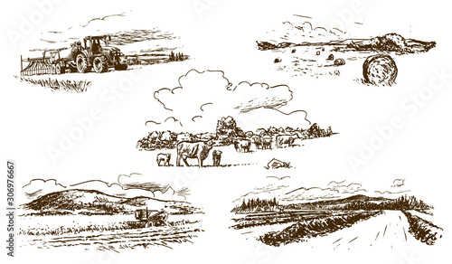 agricultural countryside landscape, set of hand-drawn illustrations (vector)