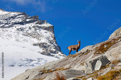 Der Stubacher Sonnblick in der Gletscherwelt © christakramer