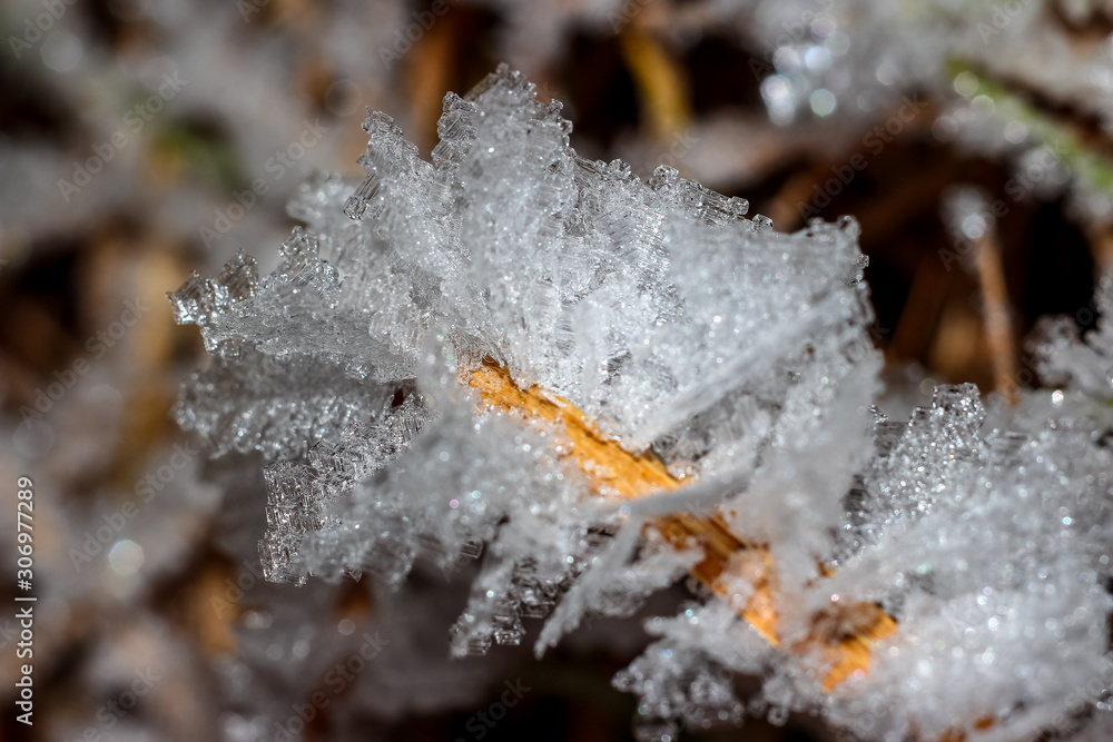 Growths of crystalline hoarfrost on grass macro