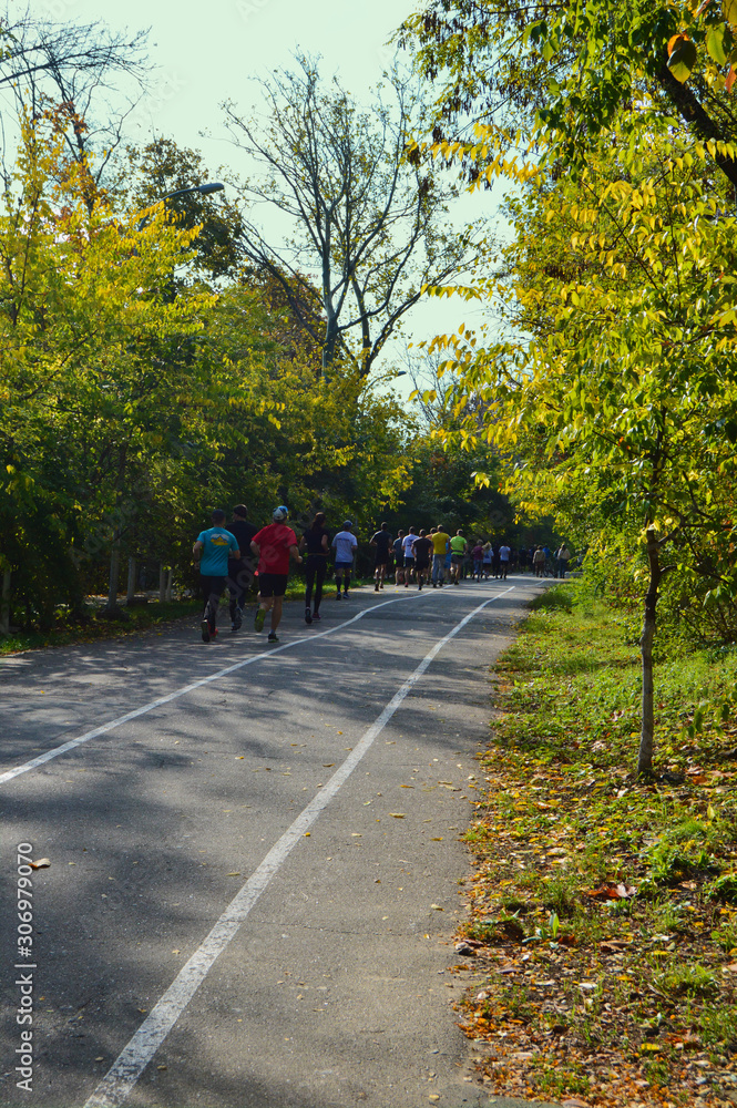 marathon in the park