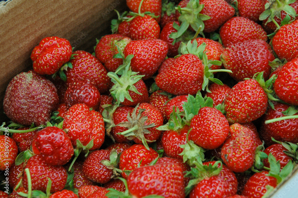 Fresh strawberries in the basket Fresh strawberries in the basket
