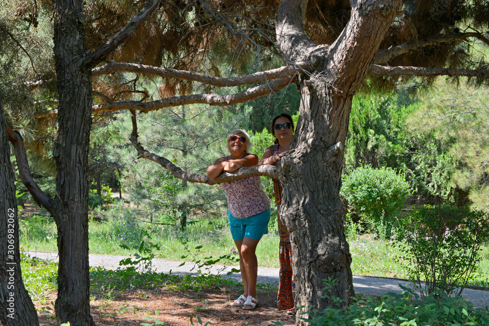 Women are posing in shadow under Crimea pine tree.