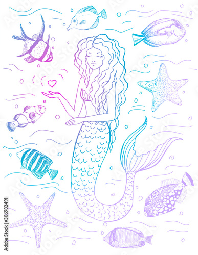 Hand drawn mermaid isolated on white background. Vector illustration. Colorful siren, starfish and tropical fish. Sea theme.