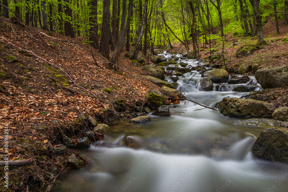 Obraz premium Stream flowing on the slope of the mountain, Bulgaria