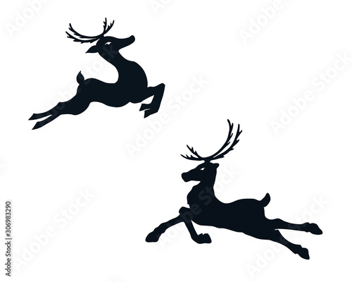 two reindeer