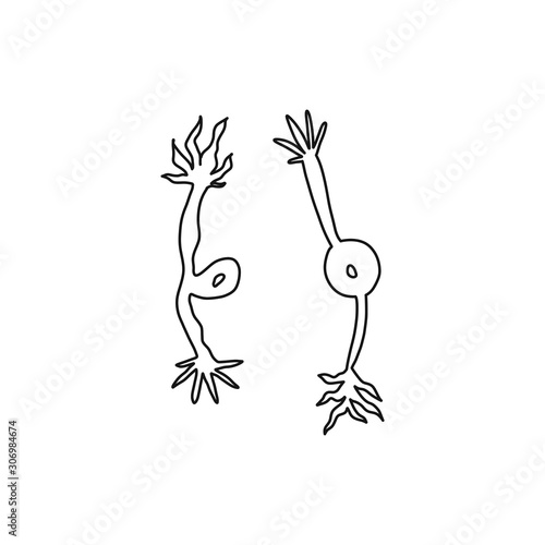 Information flyer sketch cell neuron art style.