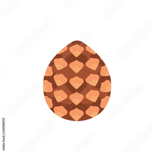 Pinecone icon. Isometric of pinecone vector icon for web design isolated on white background