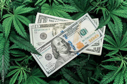 The economy of hemp industry. Tax on weed. Money and pot. Cannabis finance. Revenues in the marijuana industry and the medical industry. American dollar bill on cannabis leaves.