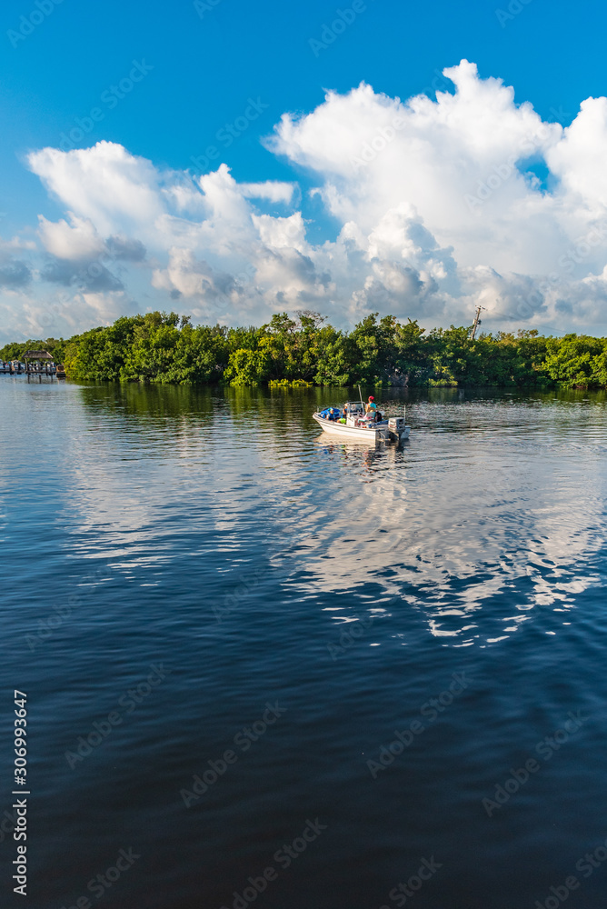 Obraz premium A boat sails past the mangroves on it's way out into Biscayne Bay, Florida from Matheson Hammock Park Marina