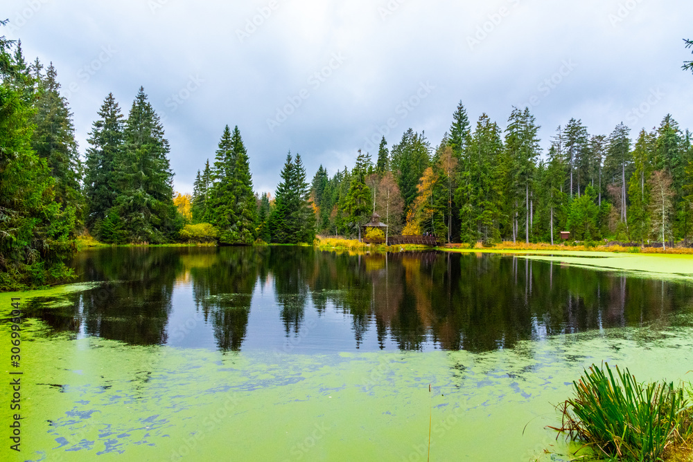 Trees reflected in the pond. Kladska peat bog National Reserve near Marianske Lazne, Czech Republic