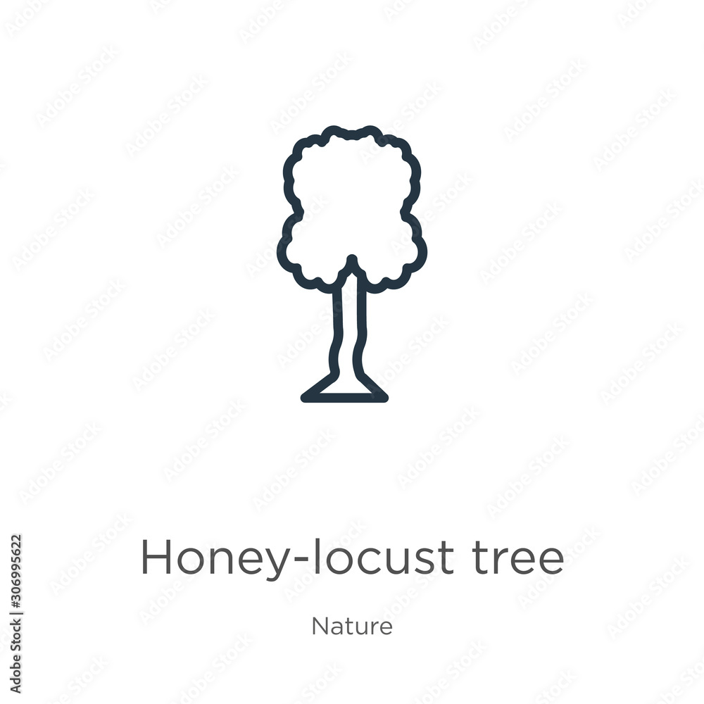 Honey-locust tree icon. Thin linear honey-locust tree outline icon isolated on white background from nature collection. Line vector honey-locust tree sign, symbol for web and mobile Honey-locust tree icon. Thin linear honey-locust tree outline icon isolated on white background from nature collection. Line vector honey-locust tree sign, symbol for web and mobile