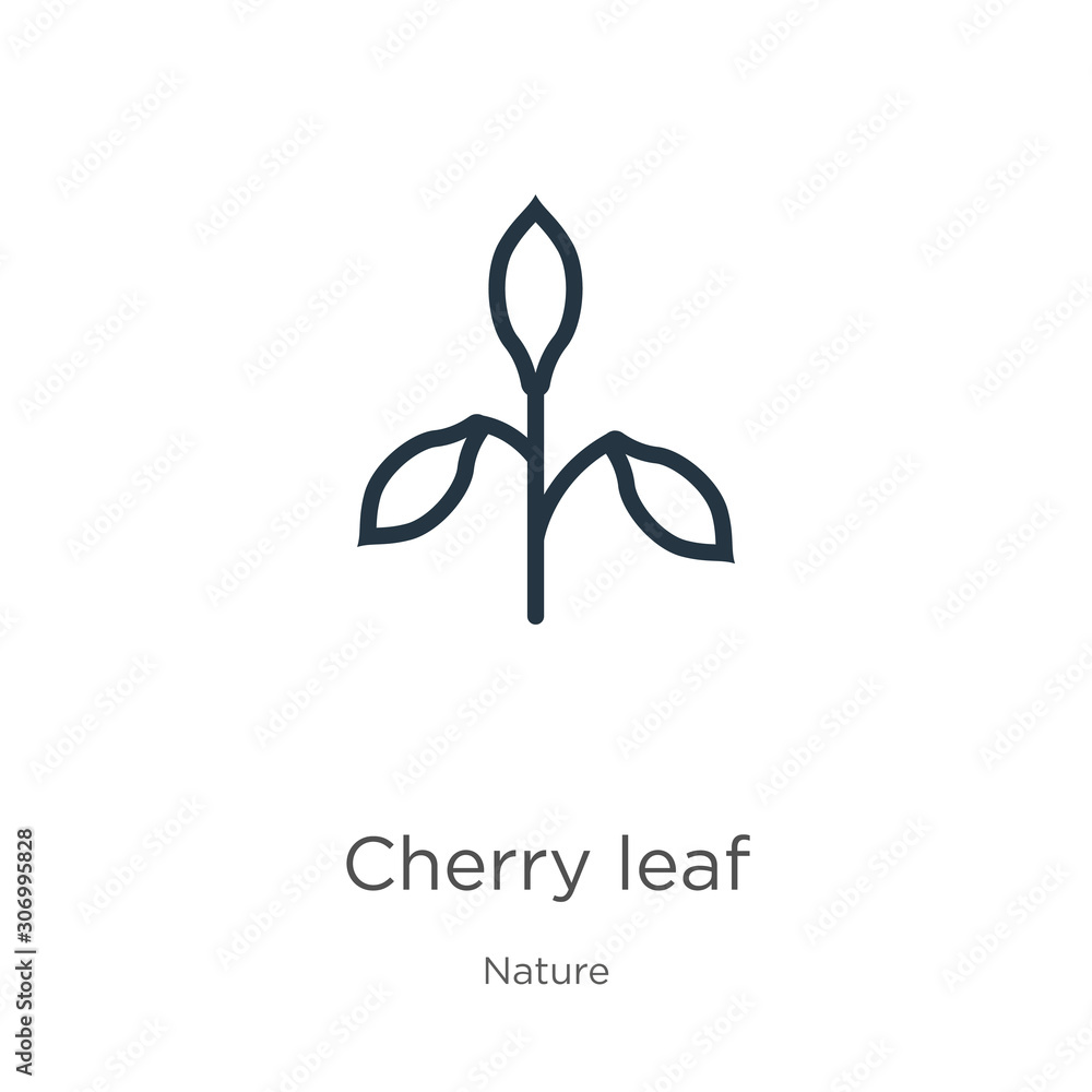 Cherry leaf icon. Thin linear cherry leaf outline icon isolated on white background from nature collection. Line vector cherry leaf sign, symbol for web and mobile