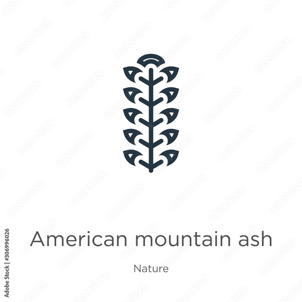 American mountain ash icon. Thin linear american mountain ash outline icon isolated on white background from nature collection. Line vector american mountain ash sign, symbol for web and mobile