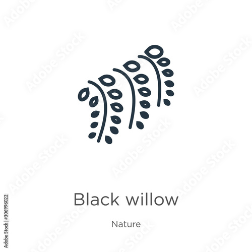 Black willow icon. Thin linear black willow outline icon isolated on white background from nature collection. Line vector black willow sign, symbol for web and mobile