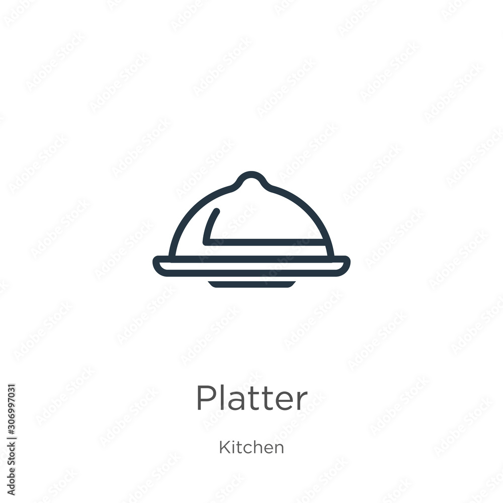 Platter icon. Thin linear platter outline icon isolated on white background from kitchen collection. Line vector platter sign, symbol for web and mobile Platter icon. Thin linear platter outline icon isolated on white background from kitchen collection. Line vector platter sign, symbol for web and mobile