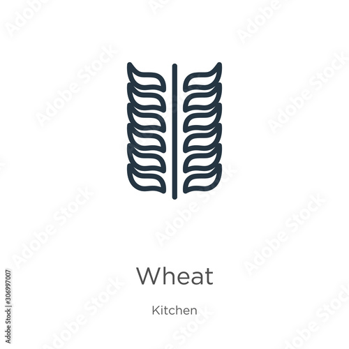 Wheat icon. Thin linear wheat outline icon isolated on white background from kitchen collection. Line vector wheat sign  symbol for web and mobile