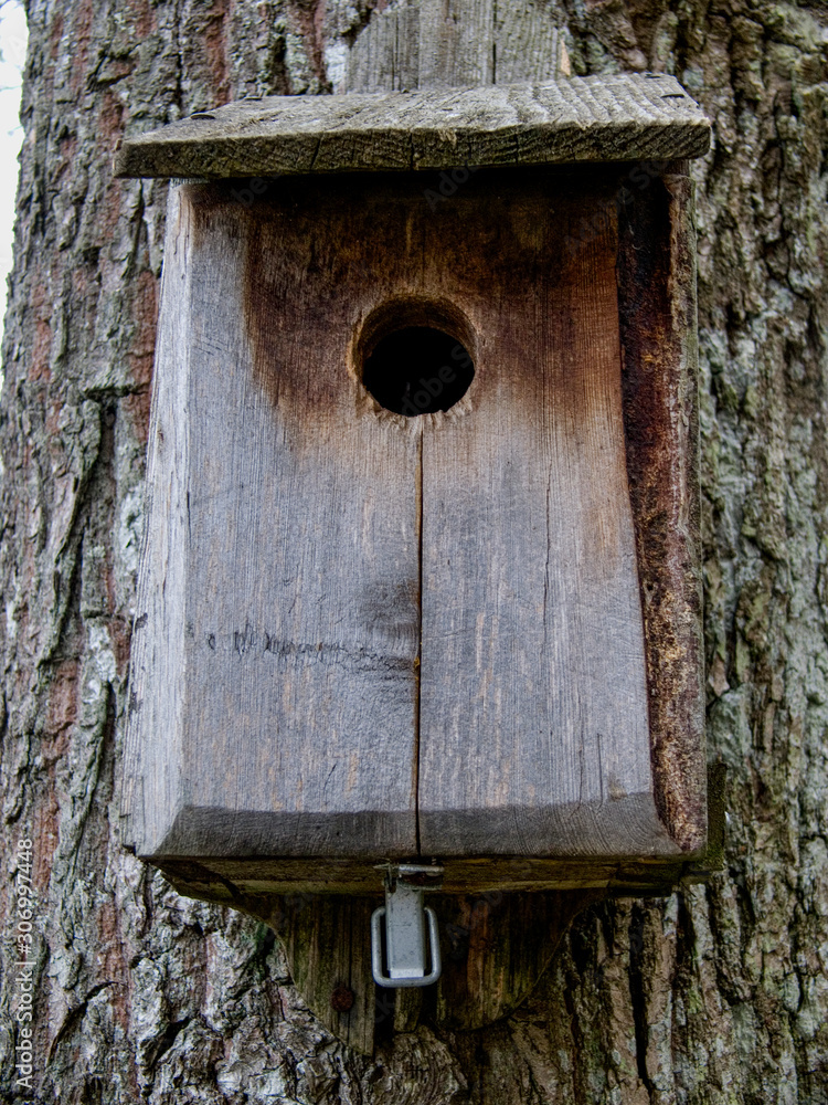 birdhouse on tree, sweden, sverige, nacka, stockholm, europe