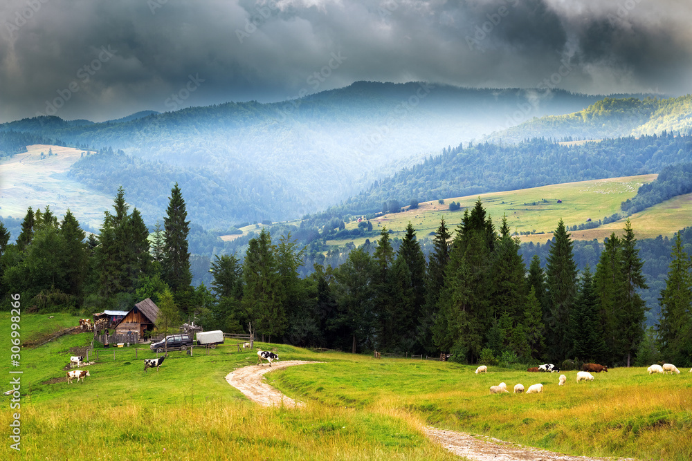 Wiosenne Pieniny