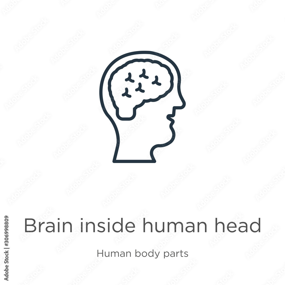 Brain inside human head icon. Thin linear brain inside human head outline icon isolated on white background from human body parts collection. Line vector brain inside human head sign, symbol for web