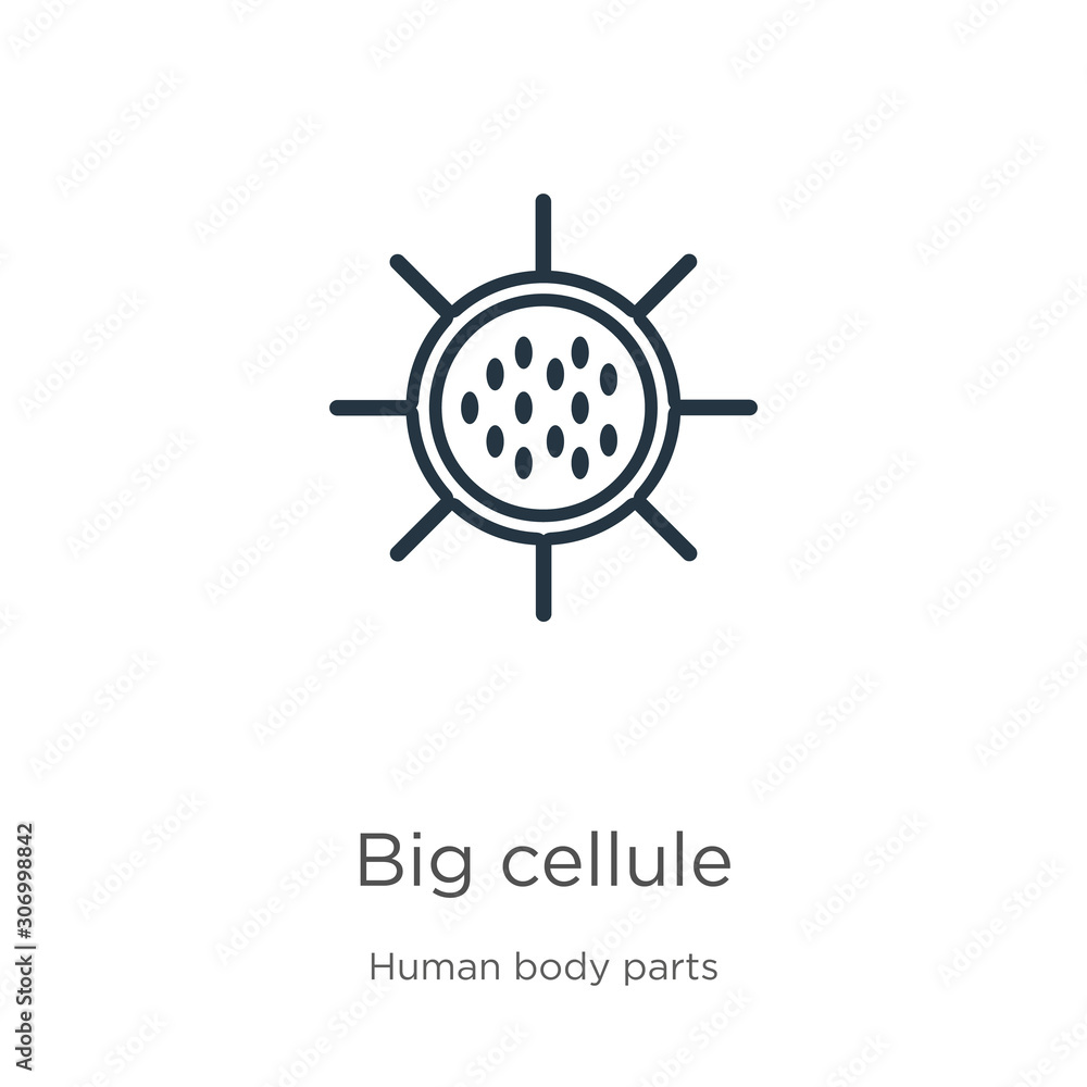 Obraz premium Big cellule icon. Thin linear big cellule outline icon isolated on white background from human body parts collection. Line vector big cellule sign, symbol for web and mobile