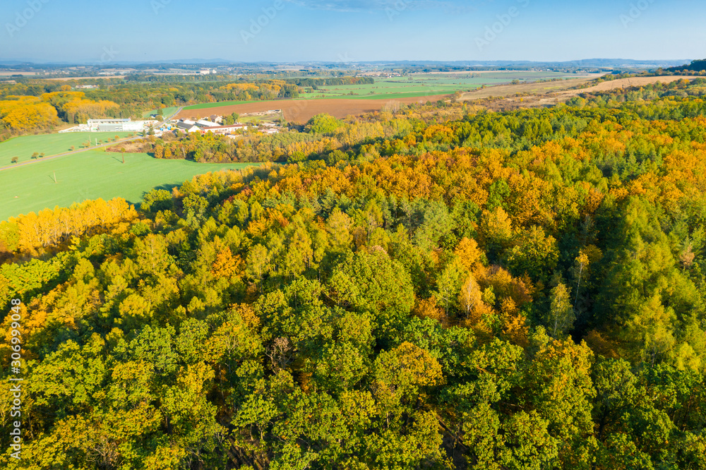 Aerial view of forest with beautiful autumn colours. Top of the trees