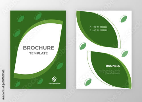 Brochure template design vector. Modern design with abstract and colorful shapes can be use for leaflet, book, poster, flyer, catalogue in A4 size. easy to edit, customize for print